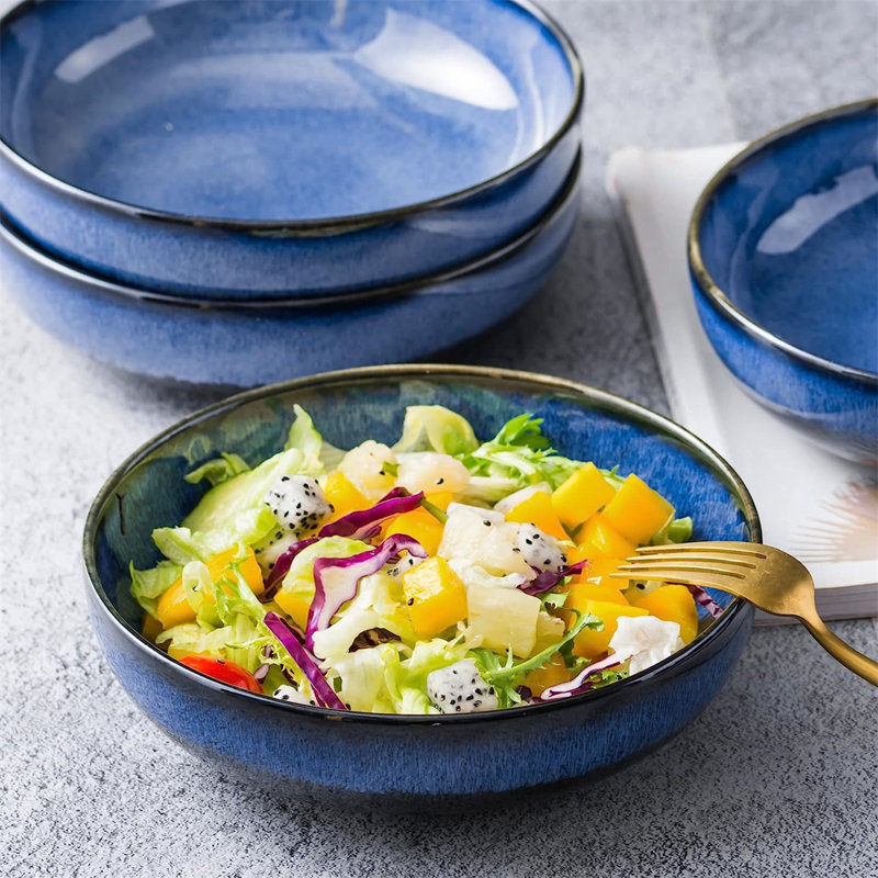 Ceramic Pasta Bowls Porcelain Salad Bowls Set Of 4 26 Oz Soup Bowl For Kitchen Large Serving Bowls Reactive Glaze Dish Bowls Microwave And